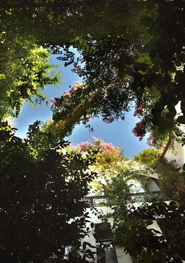 Riad Lyla Marrakesh Exterior photo