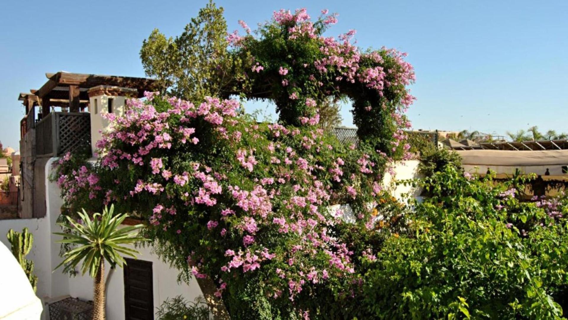 Riad Lyla Marrakesh Exterior photo